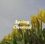 Spring Cleanup