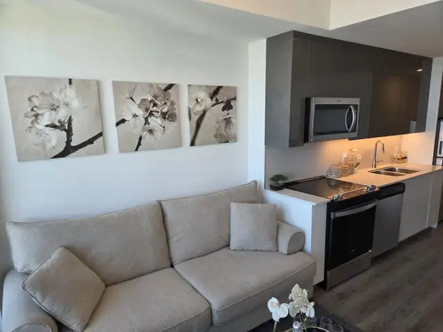 Fully Furnished 1 Bedroom Apartment in Downtown Kitchener - Photo 4