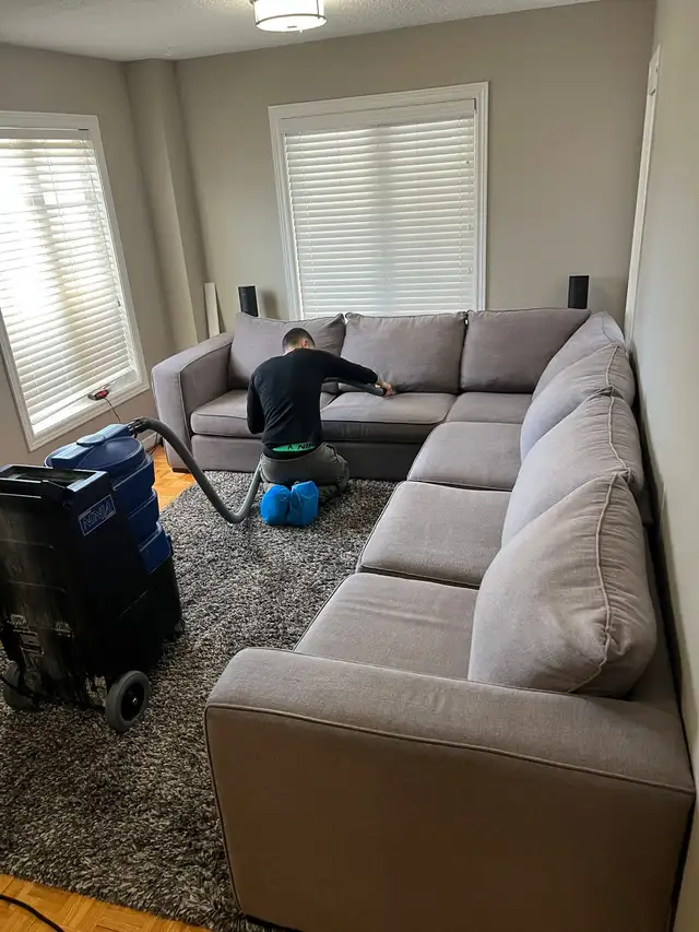 carpet, sofa and mattresses cleaning - Photo 7