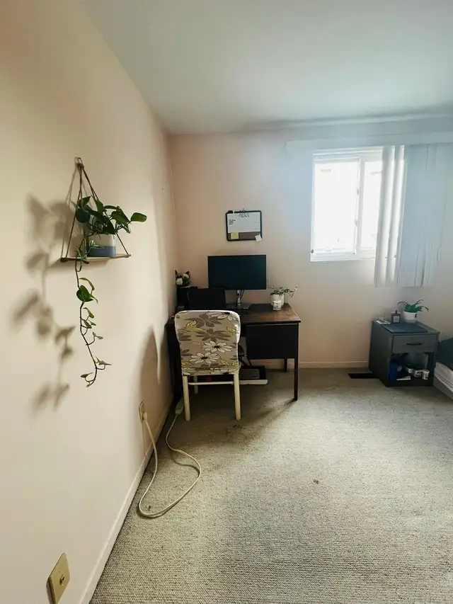 Spacious Room Across Seneca College!