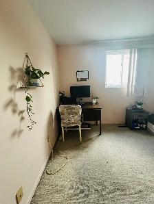 Spacious Room Across Seneca College!