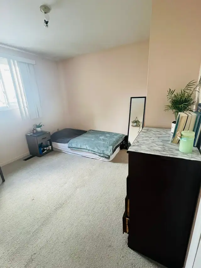 Spacious Room Across Seneca College! - Photo 3