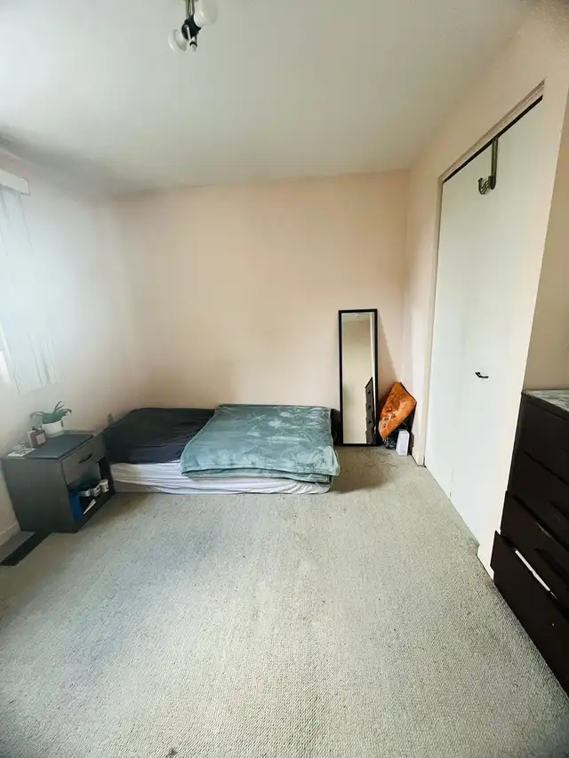 Spacious Room Across Seneca College! - Photo 4