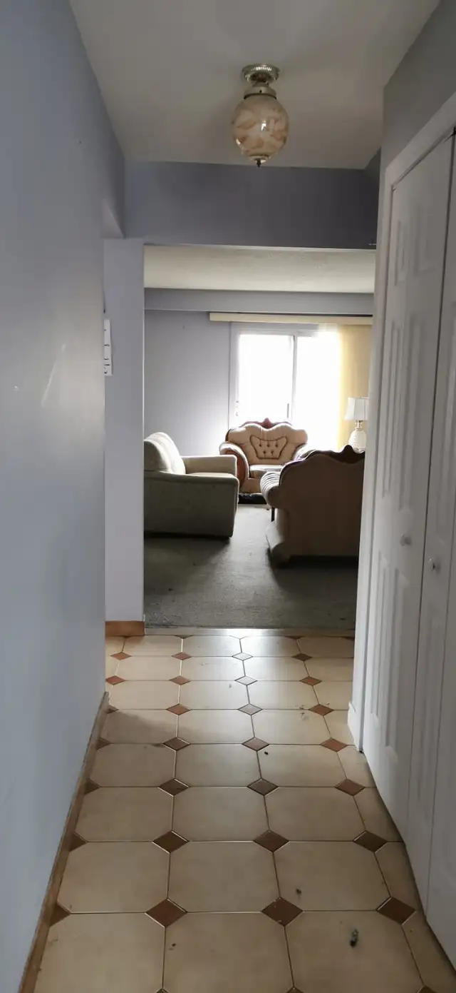 Spacious Room Across Seneca College! - Photo 7