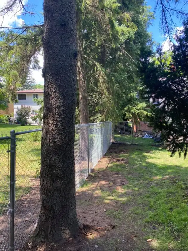 Labour for Hire Small Landscaping Projects | Stratford, Ontario - Photo 2