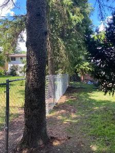 Labour for Hire Small Landscaping Projects | Stratford, Ontario - Photo 2