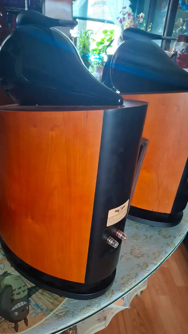 B & Balenald speaker set - Photo 3