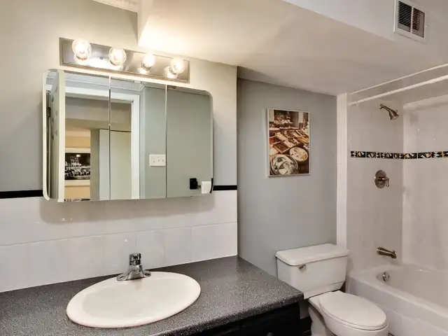 Clean and spacious basement apartment available - Photo 3