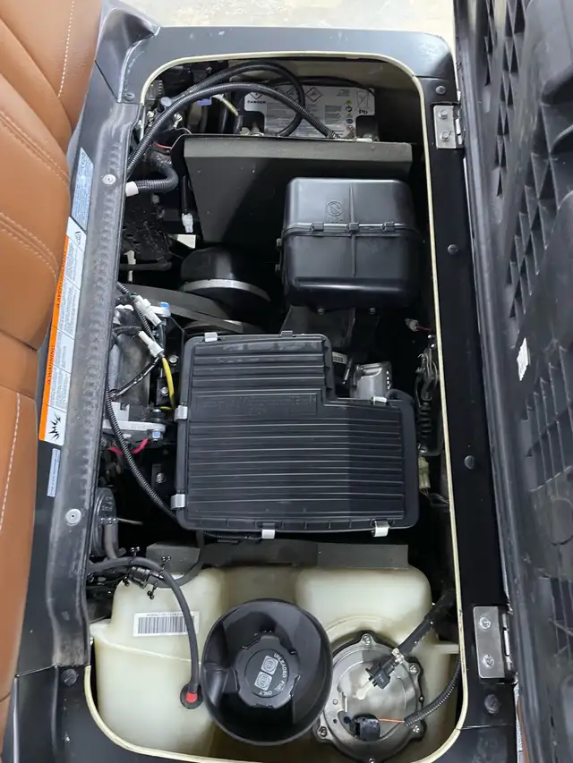 Golf Cart Yamaha - Photo 4