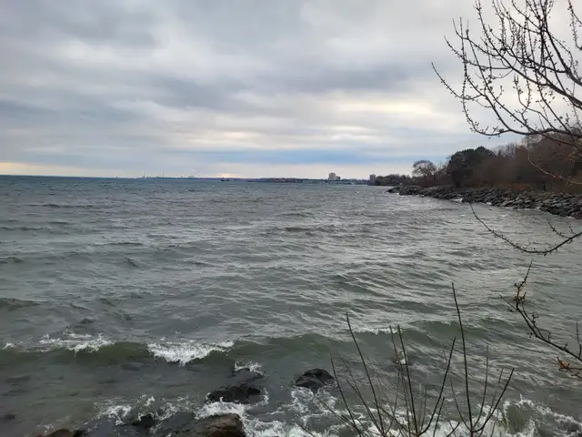 ~~ Port Credit Lakeshore area awesome basement! ~~