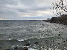 ~~ Port Credit Lakeshore area awesome basement! ~~