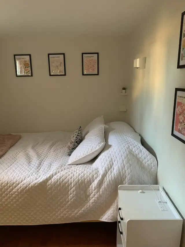 ~~ Port Credit Lakeshore area awesome basement! ~~ - Photo 4