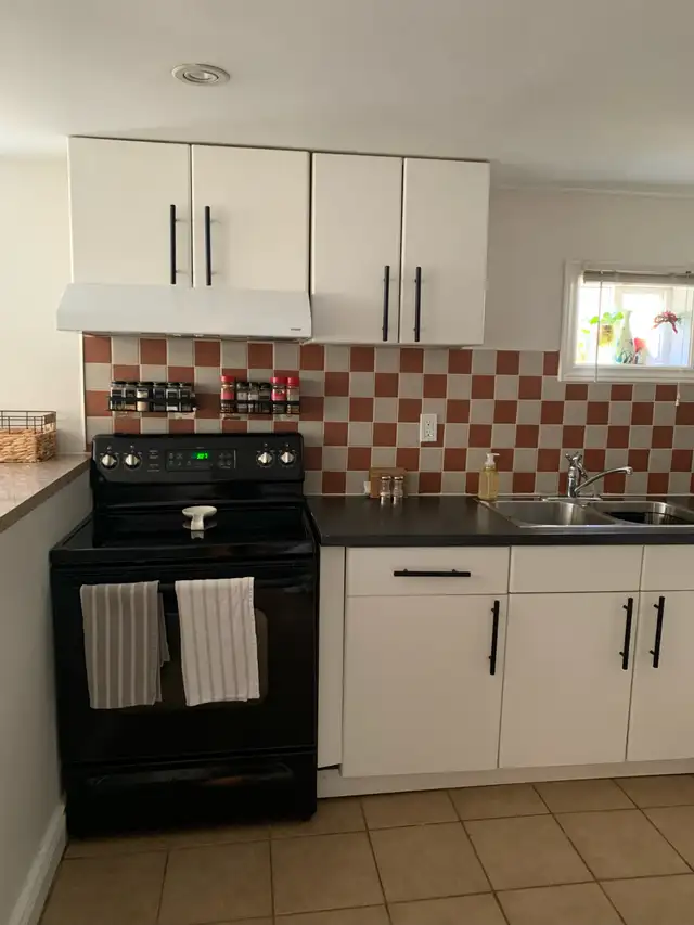 ~~ Port Credit Lakeshore area awesome basement! ~~ - Photo 7