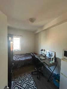 Room for Rent (Summer Sublet) Male only