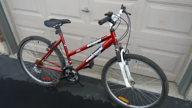 Ladies Commuter Bicycle