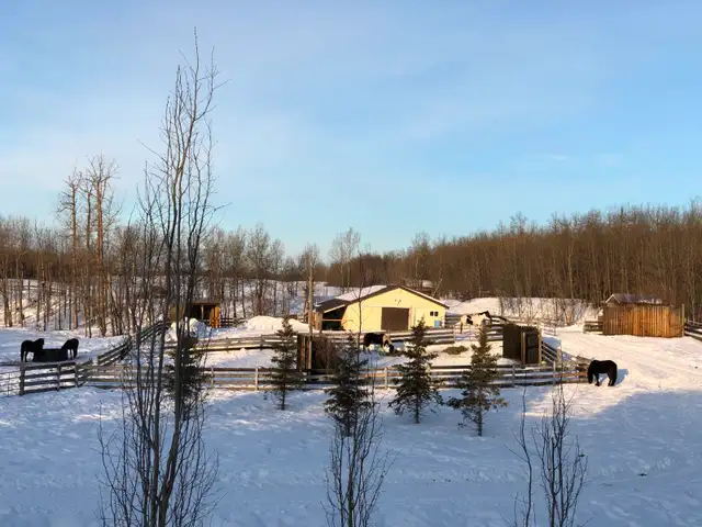 Outdoor Horse Board - Photo 2