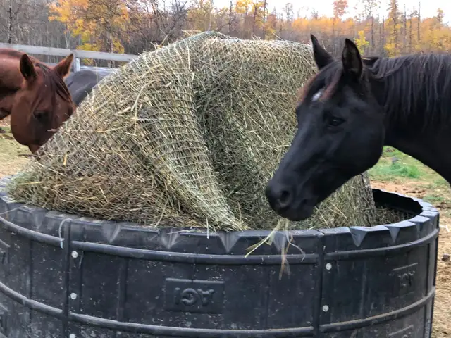 Outdoor Horse Board - Photo 5
