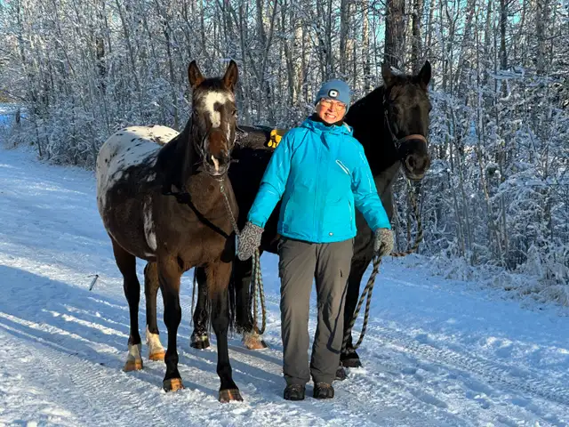 Outdoor Horse Board - Photo 9