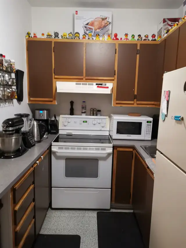 Appartement grand 3 et demi au troisième étage près du métro PIX - Photo 2