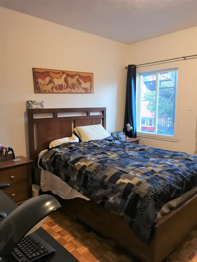 Appartement grand 3 et demi au troisième étage près du métro PIX - Photo 3