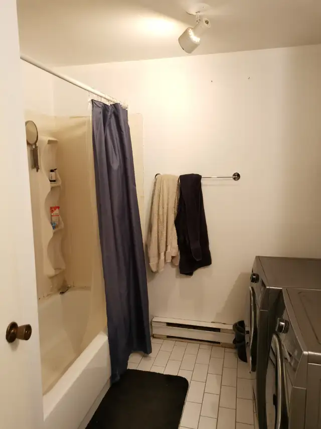 Appartement grand 3 et demi au troisième étage près du métro PIX - Photo 5