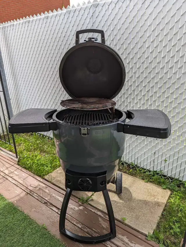 bbq charbon bois - Photo 5