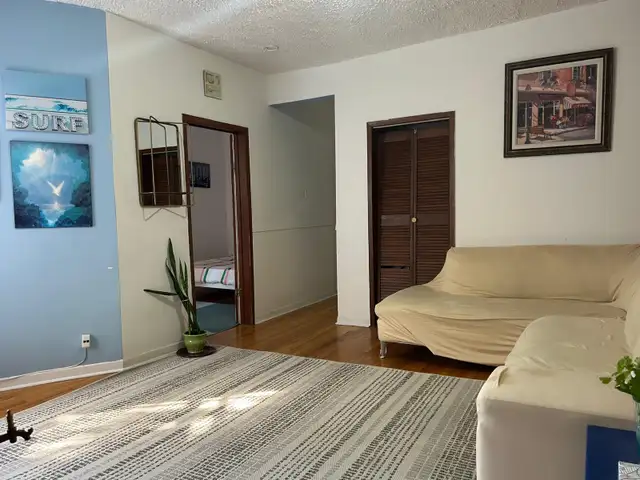 New renovation 6 1/2 Apt for rent in Plateau-Mont-Royal.