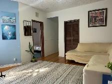 New renovation 6 1/2 Apt for rent in Plateau-Mont-Royal.