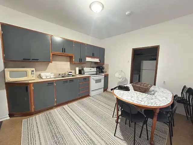 New renovation 6 1/2 Apt for rent in Plateau-Mont-Royal. - Photo 8