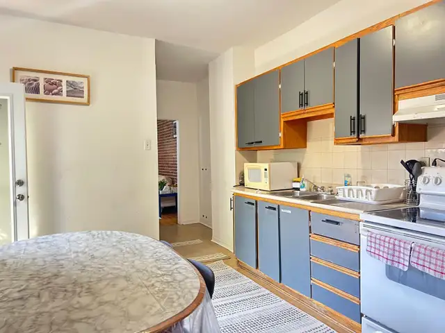 New renovation 6 1/2 Apt for rent in Plateau-Mont-Royal. - Photo 10