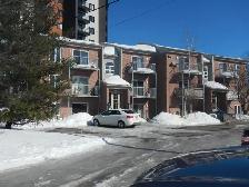 Beau et grand 4 1/2  -  Lévis (St-Nicolas)