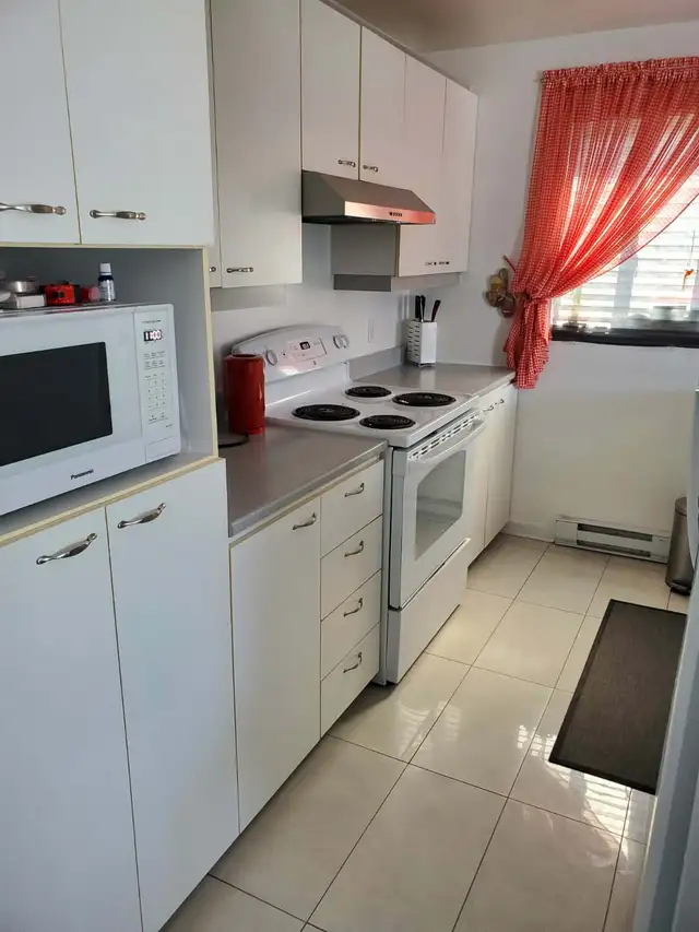 Beau et grand 4 1/2  -  Lévis (St-Nicolas) - Photo 2