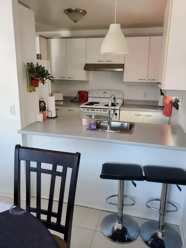 Beau et grand 4 1/2  -  Lévis (St-Nicolas) - Photo 3