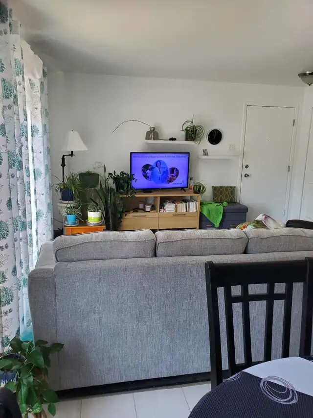 Beau et grand 4 1/2  -  Lévis (St-Nicolas) - Photo 4