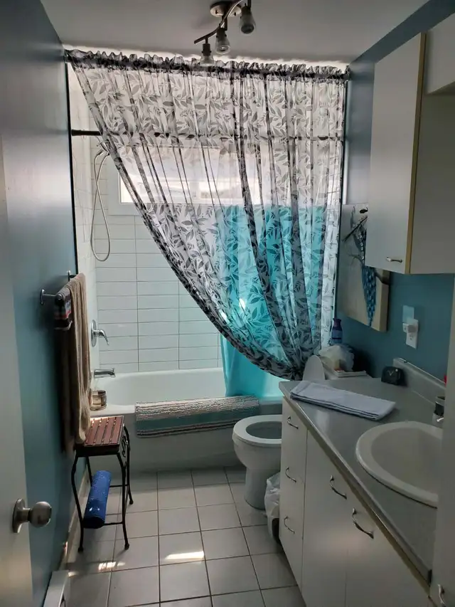 Beau et grand 4 1/2  -  Lévis (St-Nicolas) - Photo 6