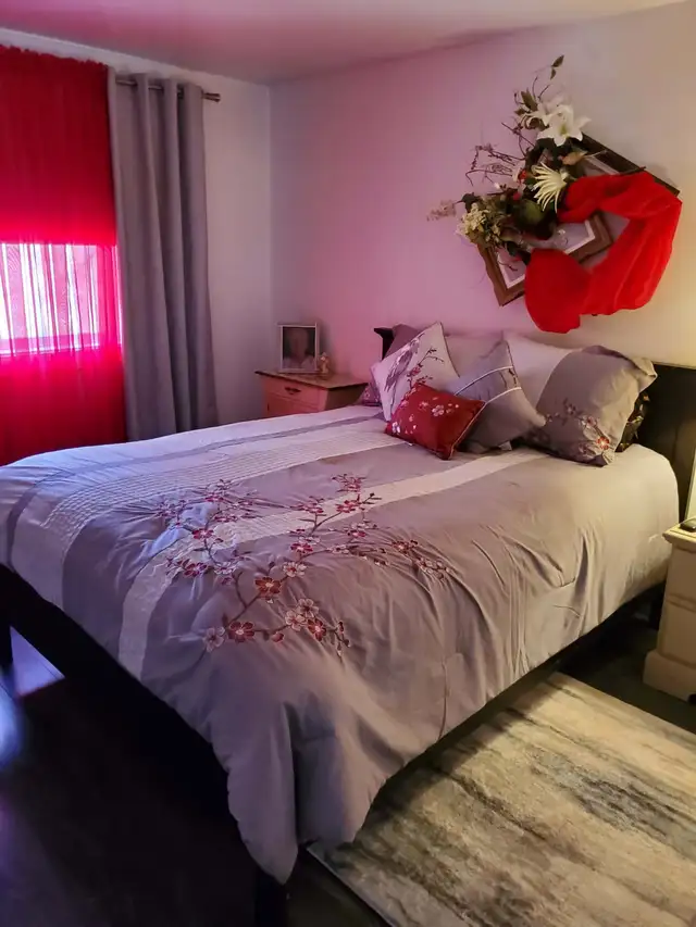 Beau et grand 4 1/2  -  Lévis (St-Nicolas) - Photo 7