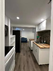bachelor basement apartment in north York