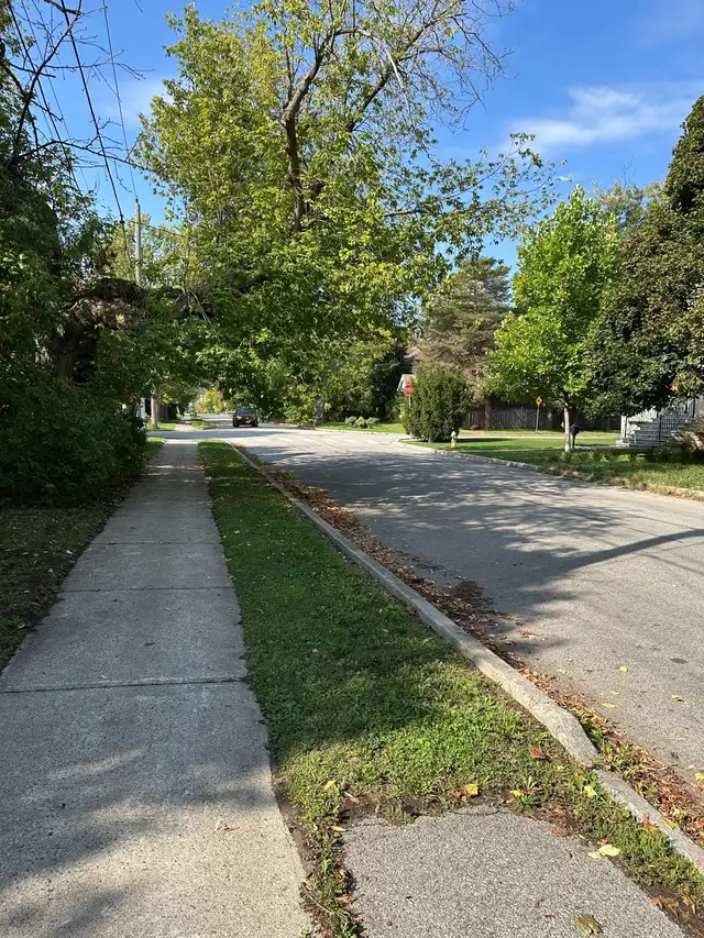 bachelor basement apartment in north York - Photo 8