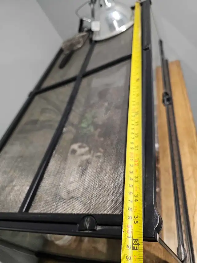 Ball Python Pastel - Photo 6