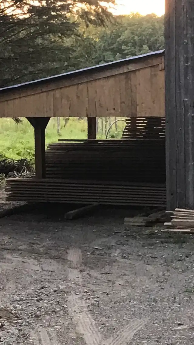 Bois de construction - Photo 2