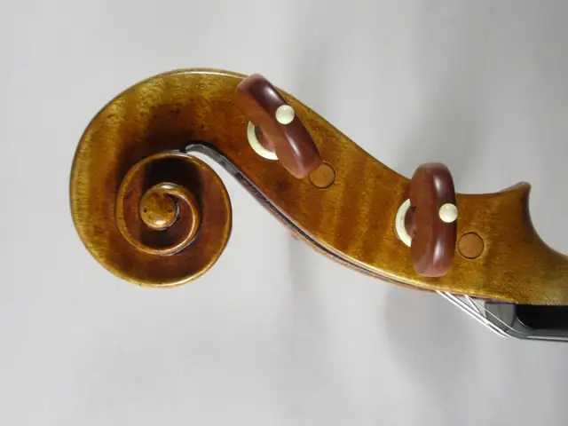 Italian violin - Photo 3