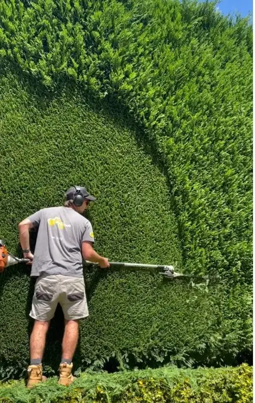 TALA Yard Care & Cleanup – Best Prices in Stouffville! - Photo 3