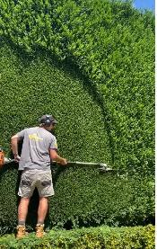 TALA Yard Care & Cleanup – Best Prices in Stouffville! - Photo 3