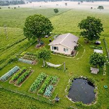 TALA Yard Care & Cleanup – Best Prices in Stouffville! - Photo 4
