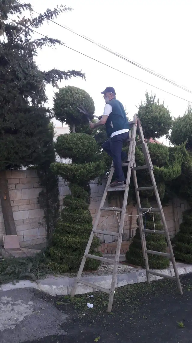 TALA Yard Care & Cleanup – Best Prices in Stouffville! - Photo 5