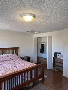 Room for Rent Near Fairview Mall – Kitchener (N2C 2S1)