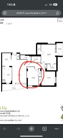 1 bedroom in sharing for a vegetarian girl