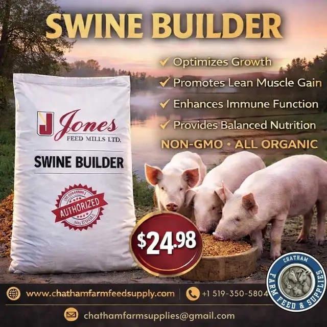 Swine Builder