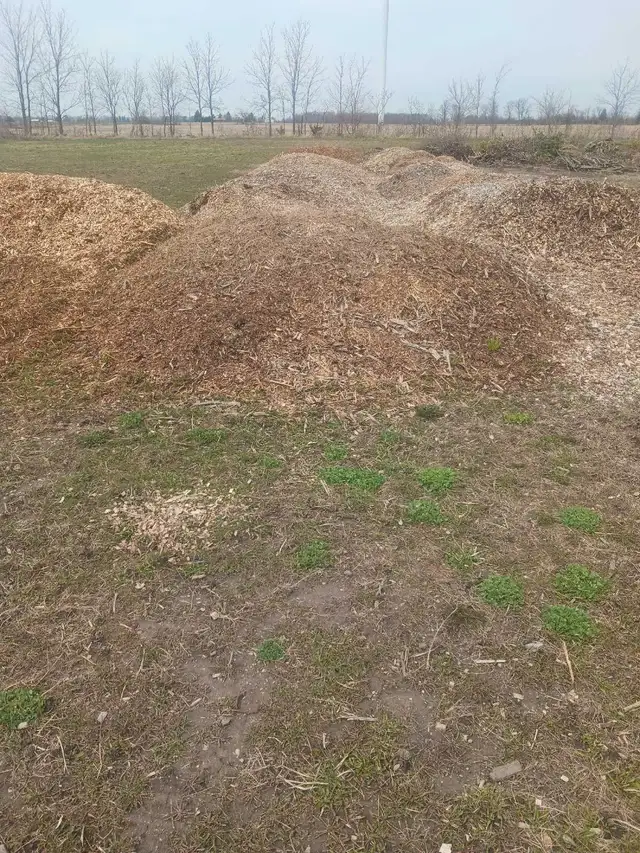 woodchips for sale