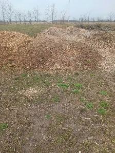 woodchips for sale